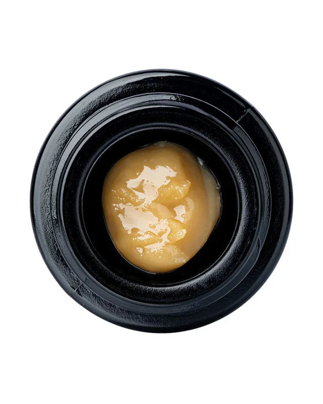 THCa Live Rosin | Blueberry Muffin | WNC CBD