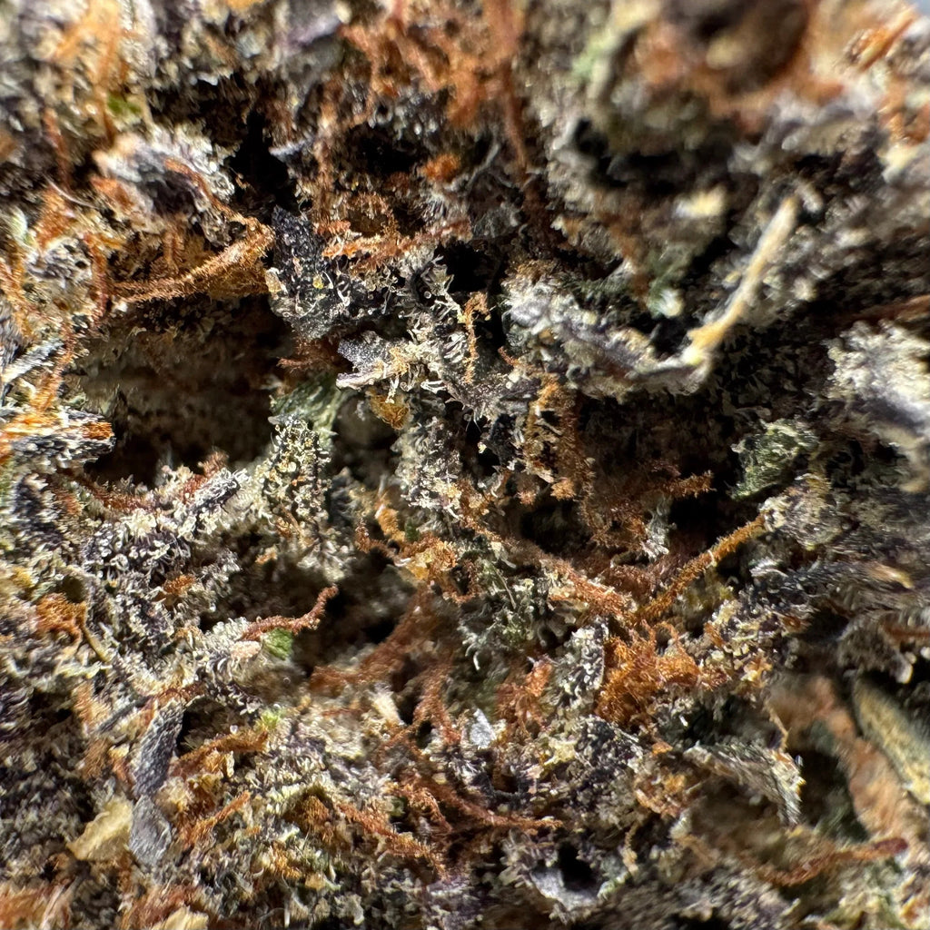 Indoor THCa Flower 28g — Trophy Wife, Texas Herb Co. — view 2