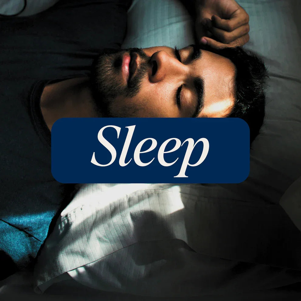 Wyld Sleep — Elderberry, 2:1 THC:CBN — view 2