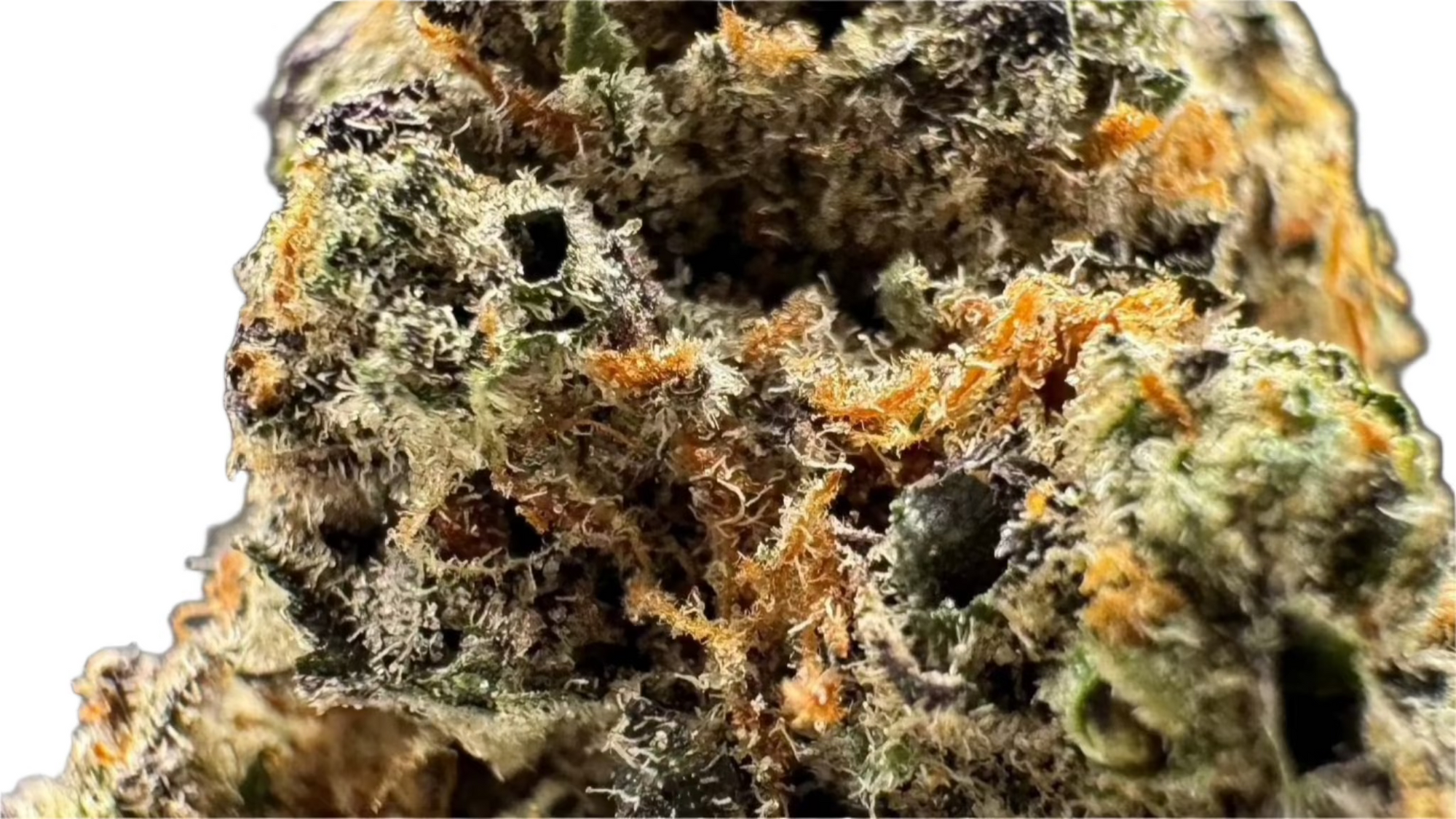Indoor THCa Flower Purple Cowboy — 28g, Texas Herb Co. — view 2