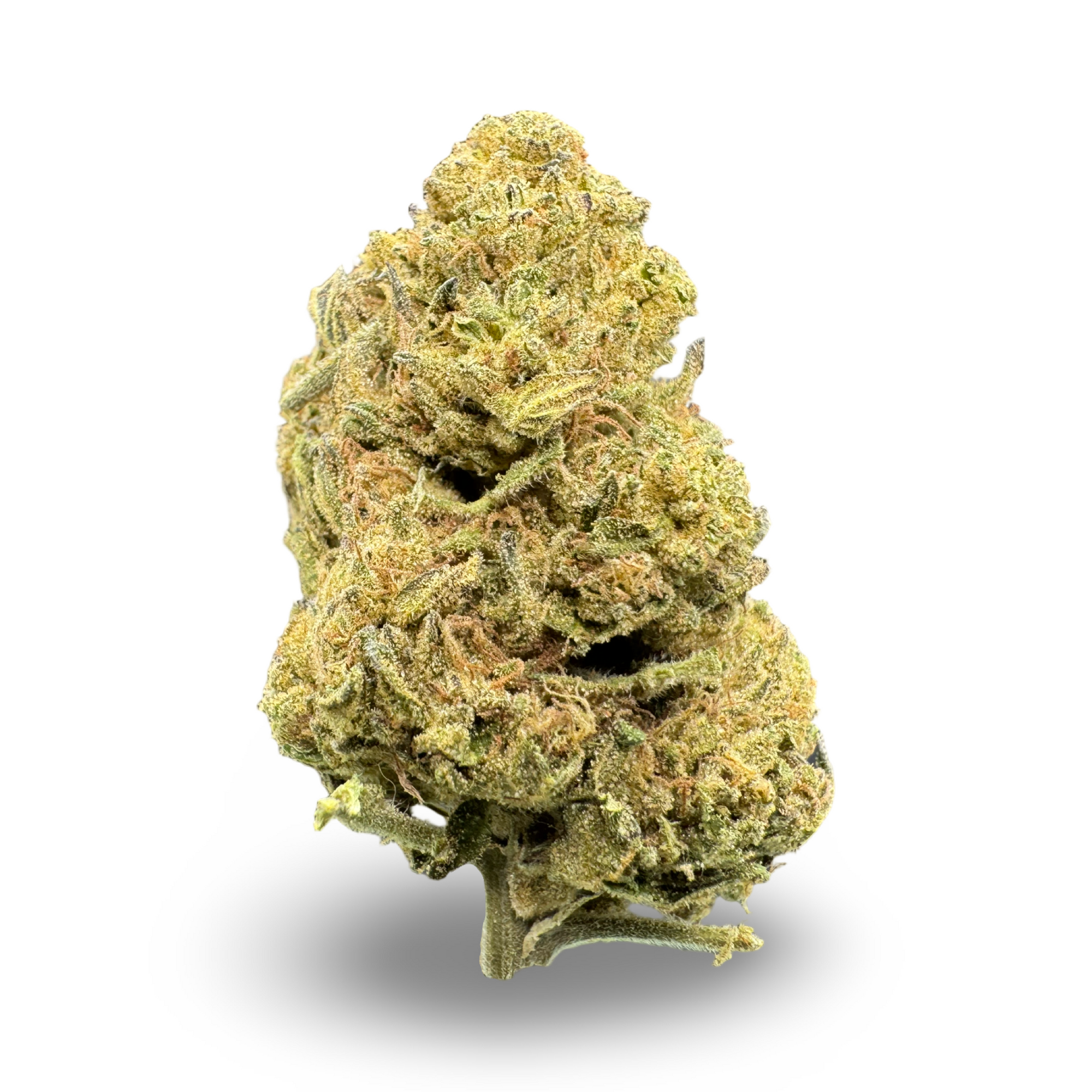 Outdoor THCa Flower | 28g | Blue OG| Texas Herb Co.