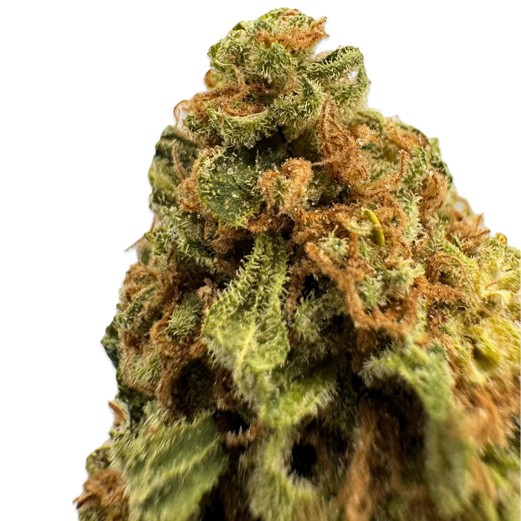 Greenhouse THCa Flower Smalls | BC Bud | 3.5g | Texas Herb Co.